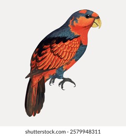 Illustration of a colorful parrot with vibrant red and blue feathers. The parrot is perched, showcasing its detailed plumage and sharp beak. Exotic bird art. Vintage bird illustration vector.