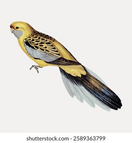 Illustration of a colorful parrot with yellow and brown feathers. The parrot's wings are detailed, showcasing a mix of vibrant colors. Exotic bird art. Vintage bird illustration vector.