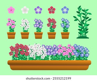 Illustration of colorful periwinkle flowers in pots, including red, pink, purple, and white variations. Great for gardening, decoration, or floral design projects.