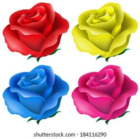 Illustration of the colorful roses on a white background