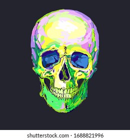 illustration of colorful skull, vintage graphics for t-shirt designs