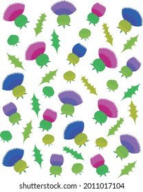 Illustration of colorful thistle flowers, buds and leaves