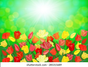 Illustration of colorful tulip flowers with bokeh background and light rays
