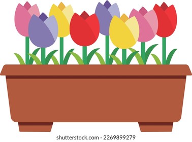 Illustration of colorful tulips in a planter