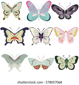 illustration colorful vector butterfly pattern