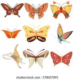 illustration colorful vector butterfly pattern