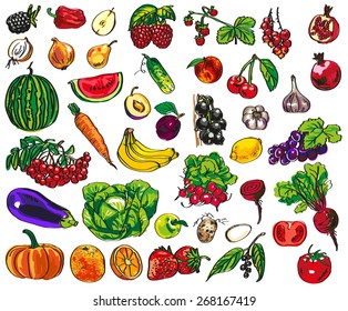 illustration of colorful vegetables, fruits and berries on a white background