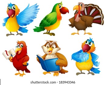 Illustration of the colourful feathered creatures on a white background