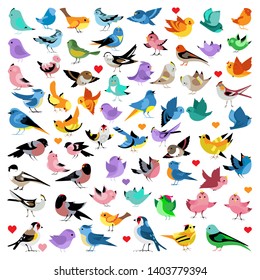 Illustration of colourful joyous birds in different positions