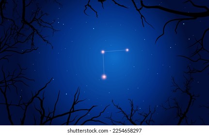 Illustration  of Coma Berenices constellation. Bright constellation in open space, blue sky. Starry sky behind tree silhouette