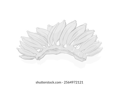 illustration of a comb of bananas on a white background