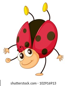illustration of a comical ladybird