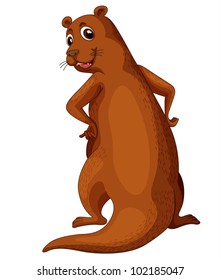 Illustration of a comical otter