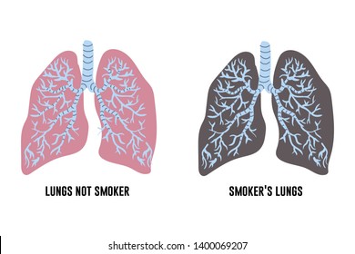smoker comparison