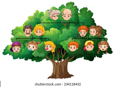 Illustration of a completed family tree