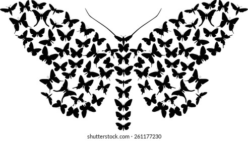 illustration with complex butterfly isolated on white background
