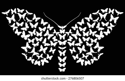 illustration with complex butterfly isolated on black background