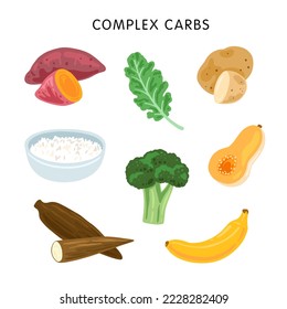 illustration of complex carb sources, educational poster for kids study