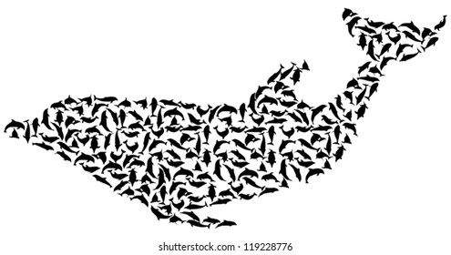 illustration with complex dolphin isolated on white background