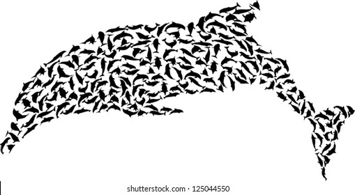 ilustración con delfín complejo aislado en fondo blanco