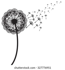 Illustration of concept dandelion. Vector