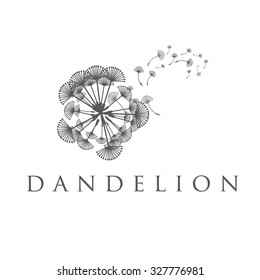 Illustration of concept dandelion. Vector