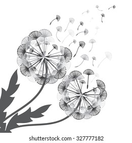 Illustration of concept dandelion. Vector