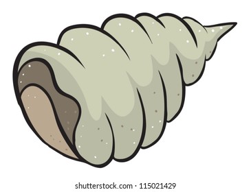 illustration of a conch shell on a white background