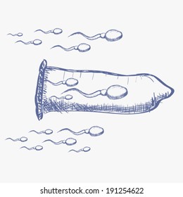 Illustration of condom. Sketch of condom with sperm. Vector illustration on white.
