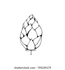 illustration of a cone