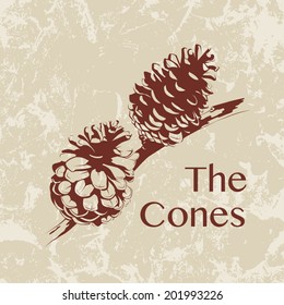 Illustration Of The Cones