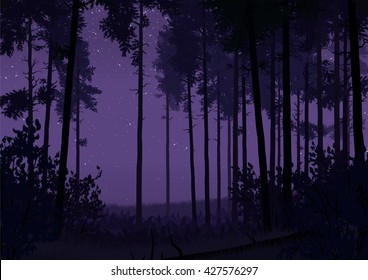 Illustration of coniferous forest landscape