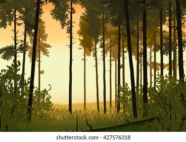 Illustration of coniferous forest landscape