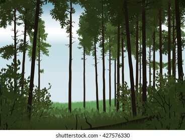 Illustration of coniferous forest landscape