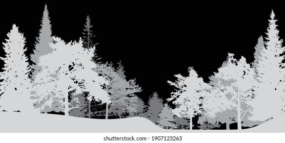 illustration with coniferous tree silhouettes isolated on black background