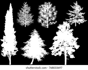 ilustración con siluetas de árbol de coníferas aisladas en fondo negro