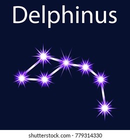 Illustration constellation Delphinus with stars in the night sky