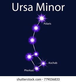 Illustration constellation  Ursa Minor with stars Pherkad, Kochab, Polaris
 in the night sky
