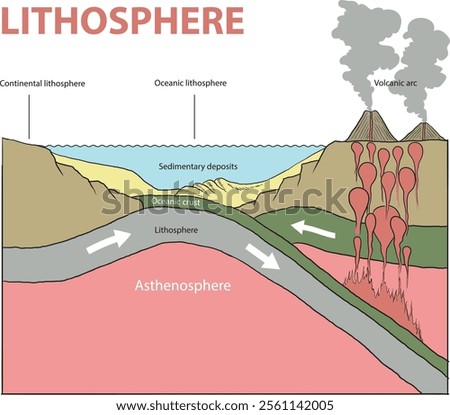 illustration of continental lithosphere diagram - vector