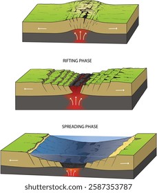 illustration of continental rifting phase diagram - vector