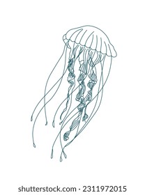 Illustration, contour jellyfish on a white background. Print, sketch, vector