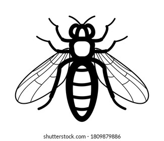 Illustration of the contour worker bee insect