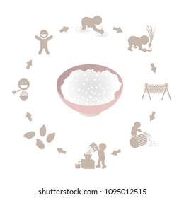 Illustration of cooked rice and rice production