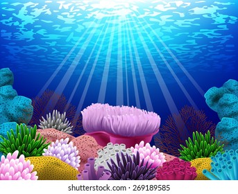 Illustration of coral and shells on the seabed