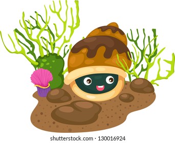 illustration coral and shells vector