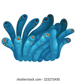 Illustration of a coral vector