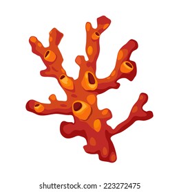 Illustration of a coral vector