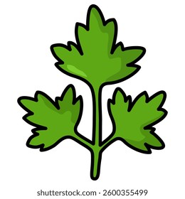 Illustration of coriander leaf herb