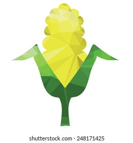 illustration  with corn cob on white  background
