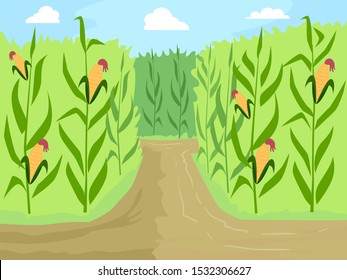 Illustration of a Corn Maze Entrance Path in the Fields